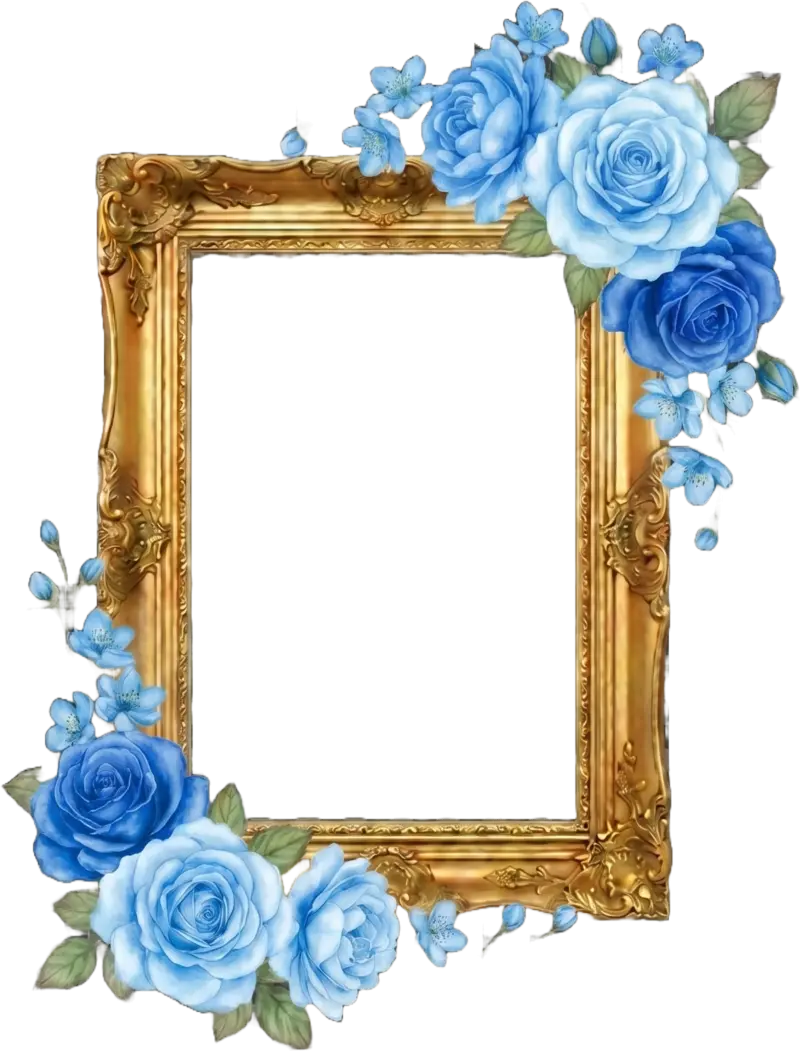 Frame